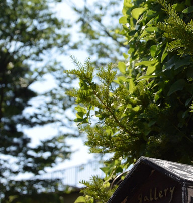 Gallery Yukomori-松本市必去景点