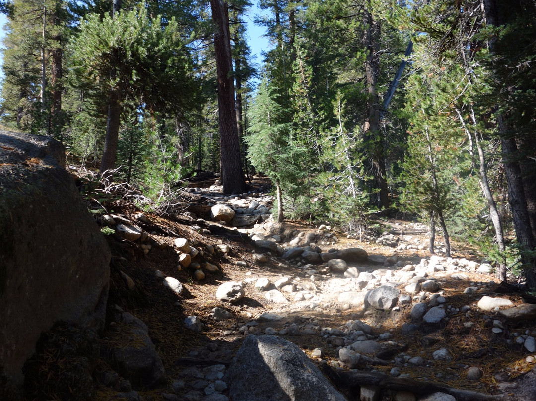 Cathedral Lake Trail-优胜美地国家公园必去景点
