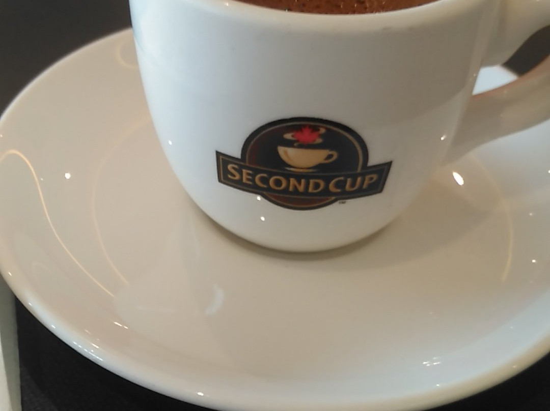 Al-Bustan Shopping Mall-Kuwait City必去景点