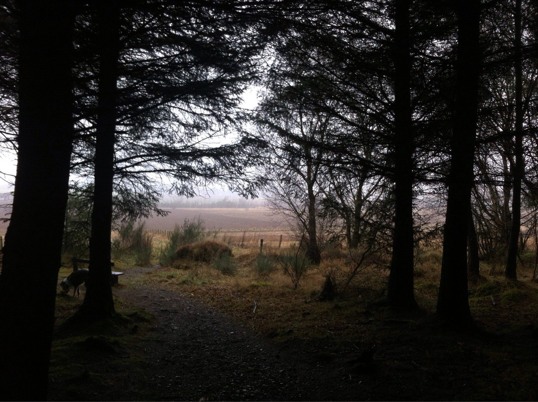 Denlethen Wood-Laurencekirk必去景点