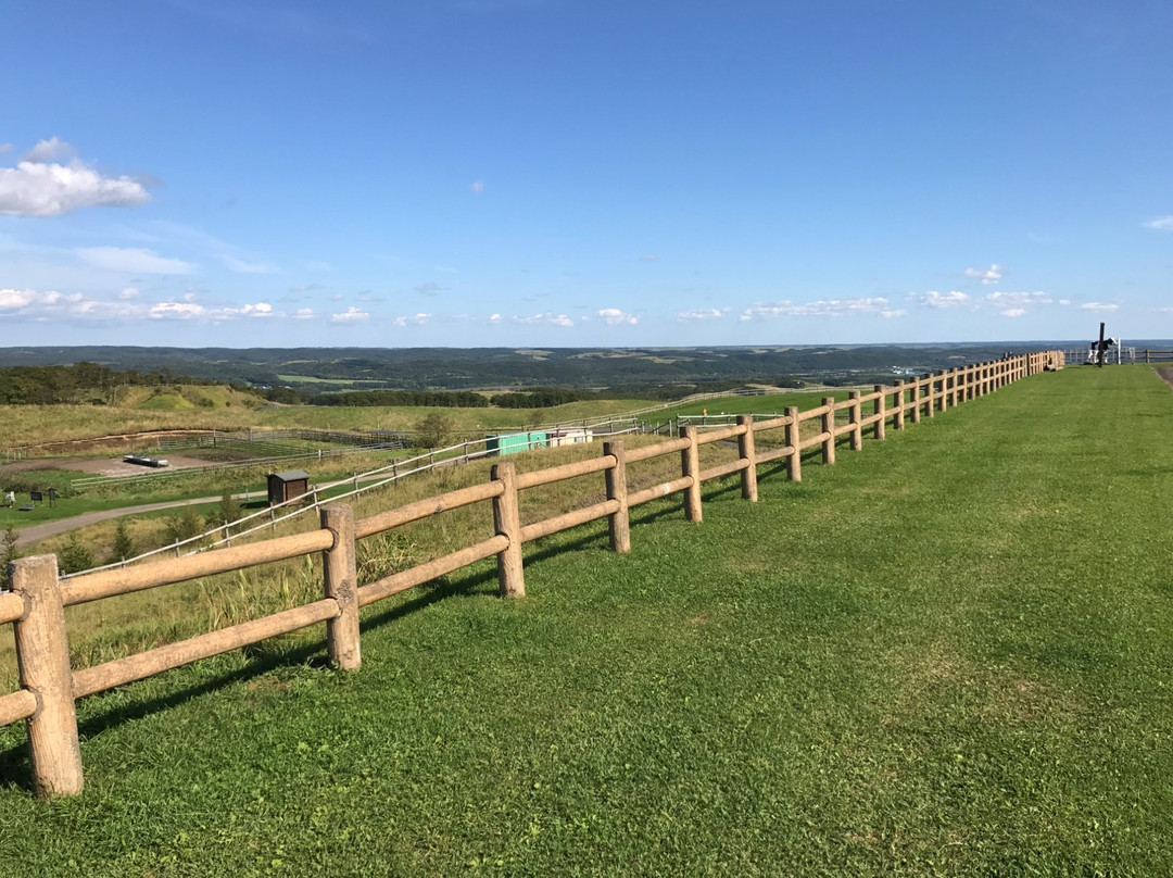 900草原展望台-弟子屈町必去景点