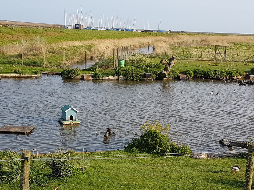 Blakeney Conservation Duck Pond-布莱克尼必去景点