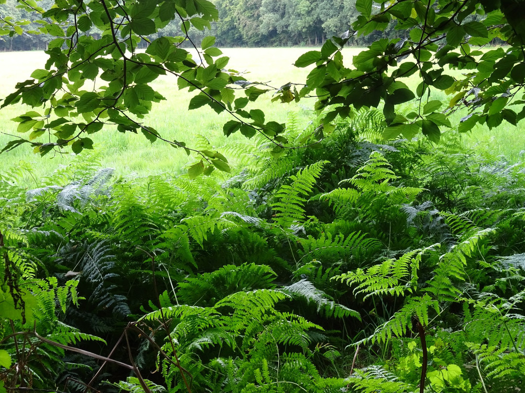 Lonnekerberg-Lonneker必去景点