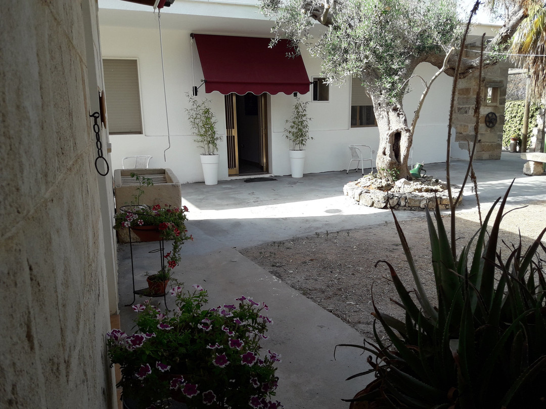 Marina di Mancaversa酒店住宿-Giardino Dei Baroni guest house
