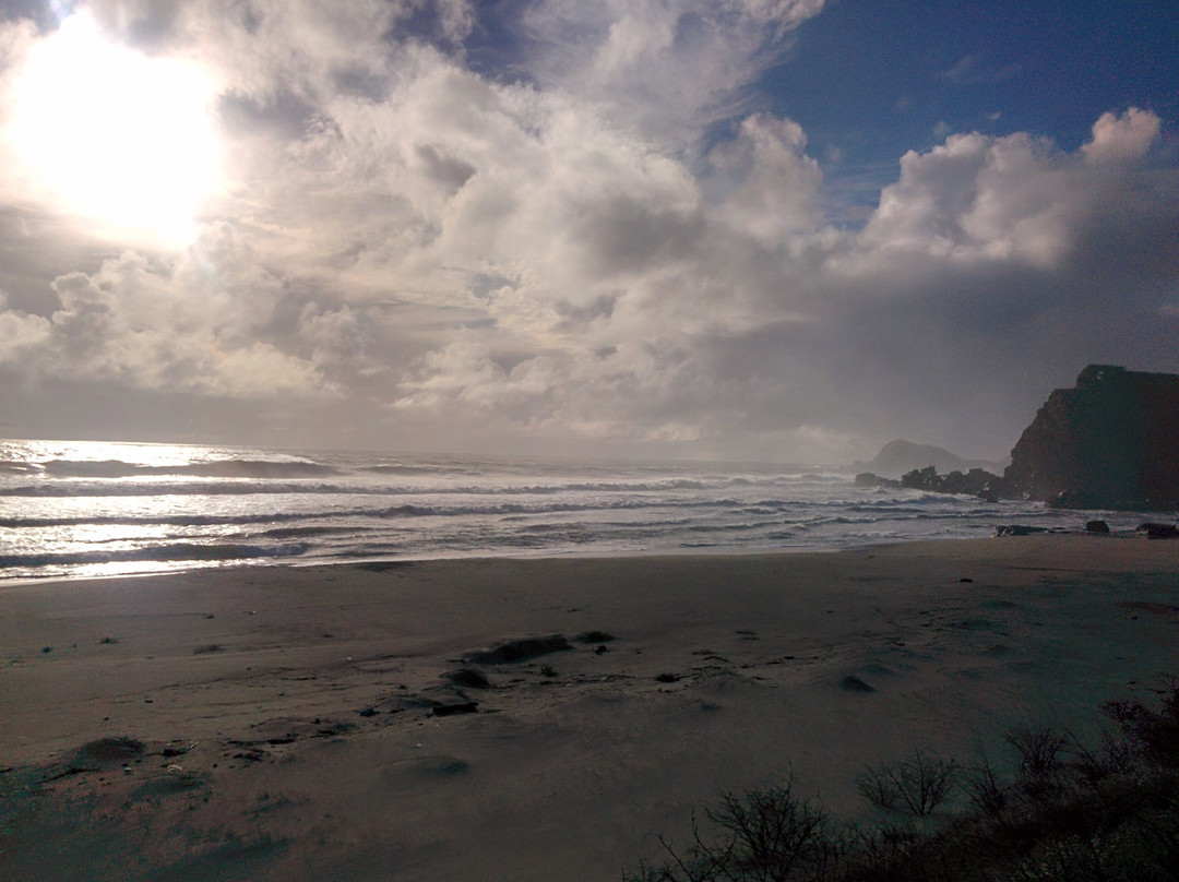 Playa Millaneco-Lebu必去景点