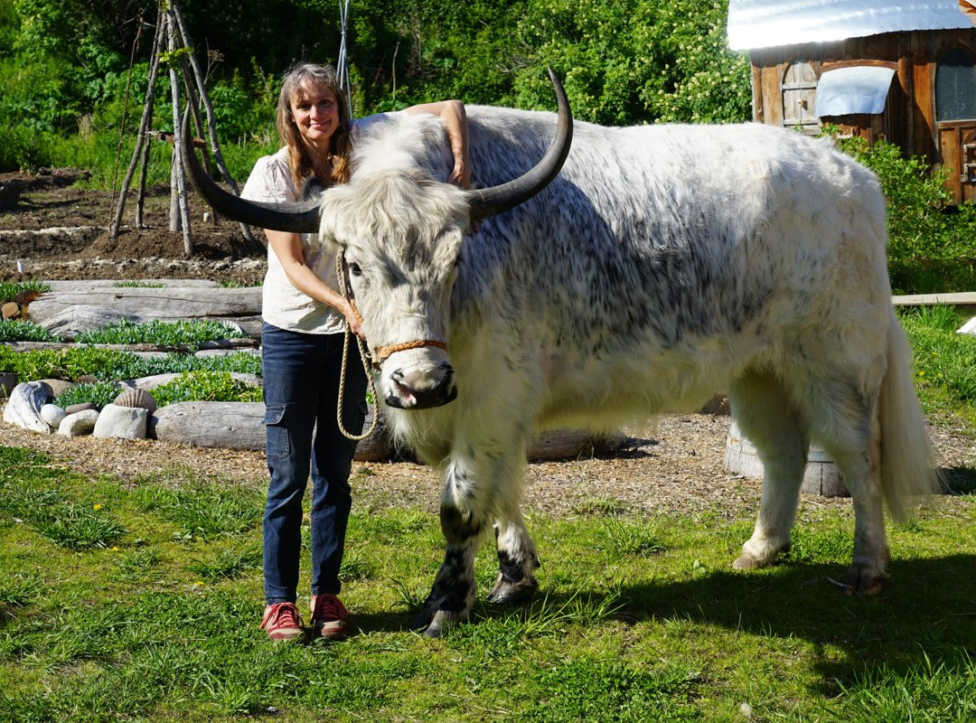 Dean Homestead and Art Studios Tour and The Dean Gallery-荷马必去景点