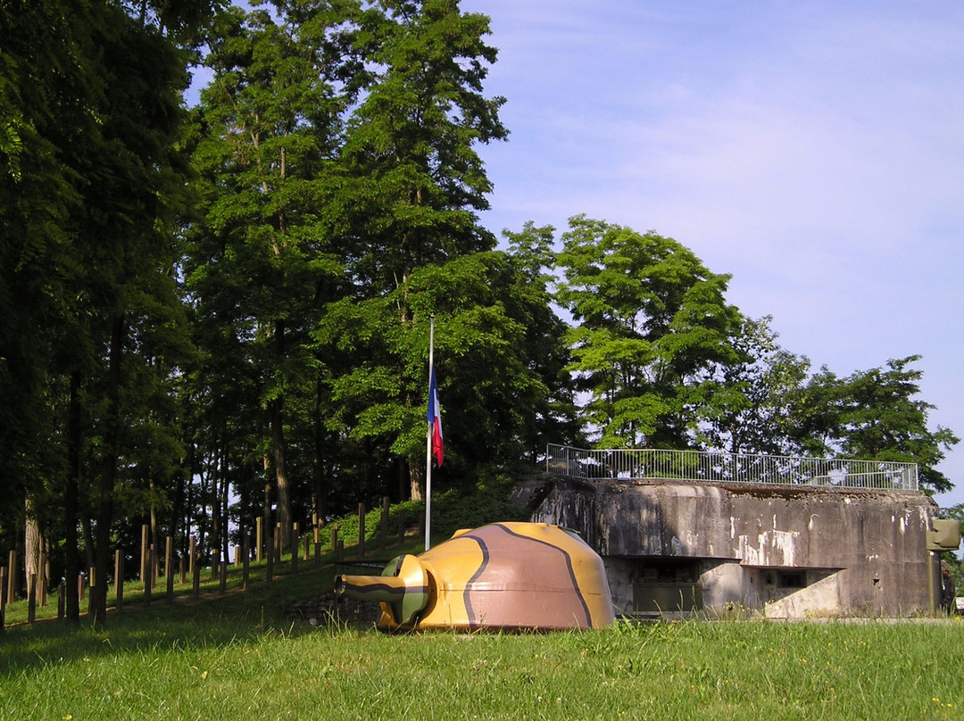 Mémorial Maginot de Haute-Alsace景点图片
