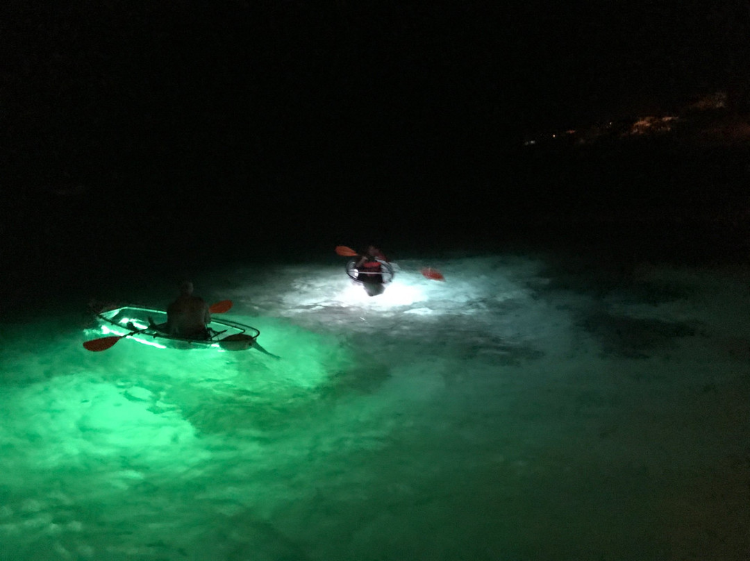 Liquid Glow-Island Harbour必去景点