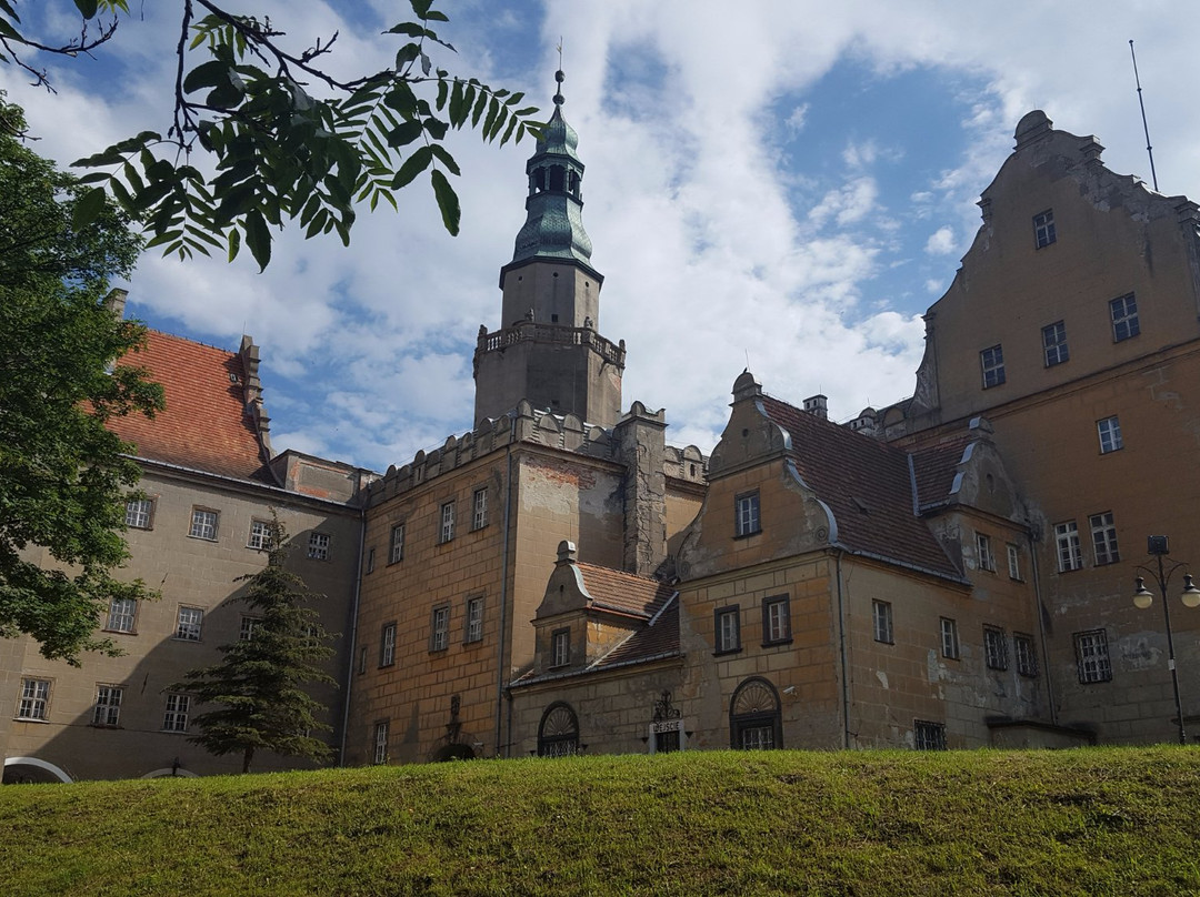 Zamek książęcy w Oleśnicy景点图片