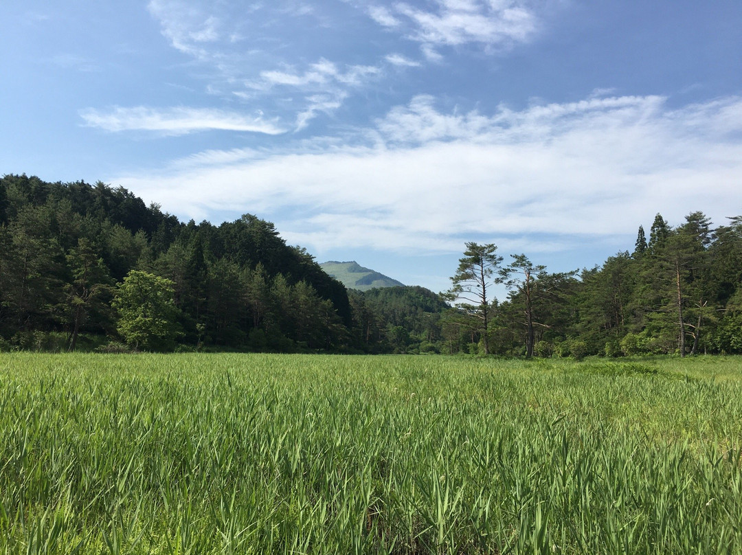 Kurozo Wetland-三好市必去景点