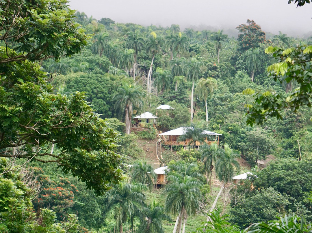 El Gallo Ecolodge