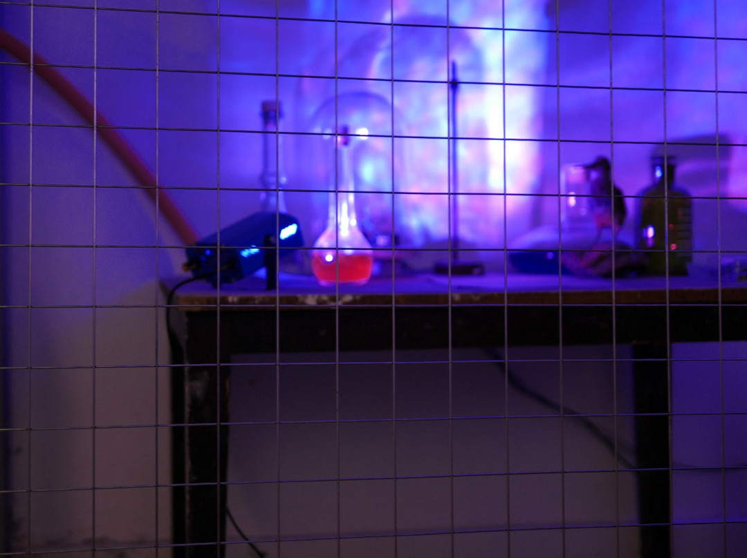 Raus! Escape Room景点图片