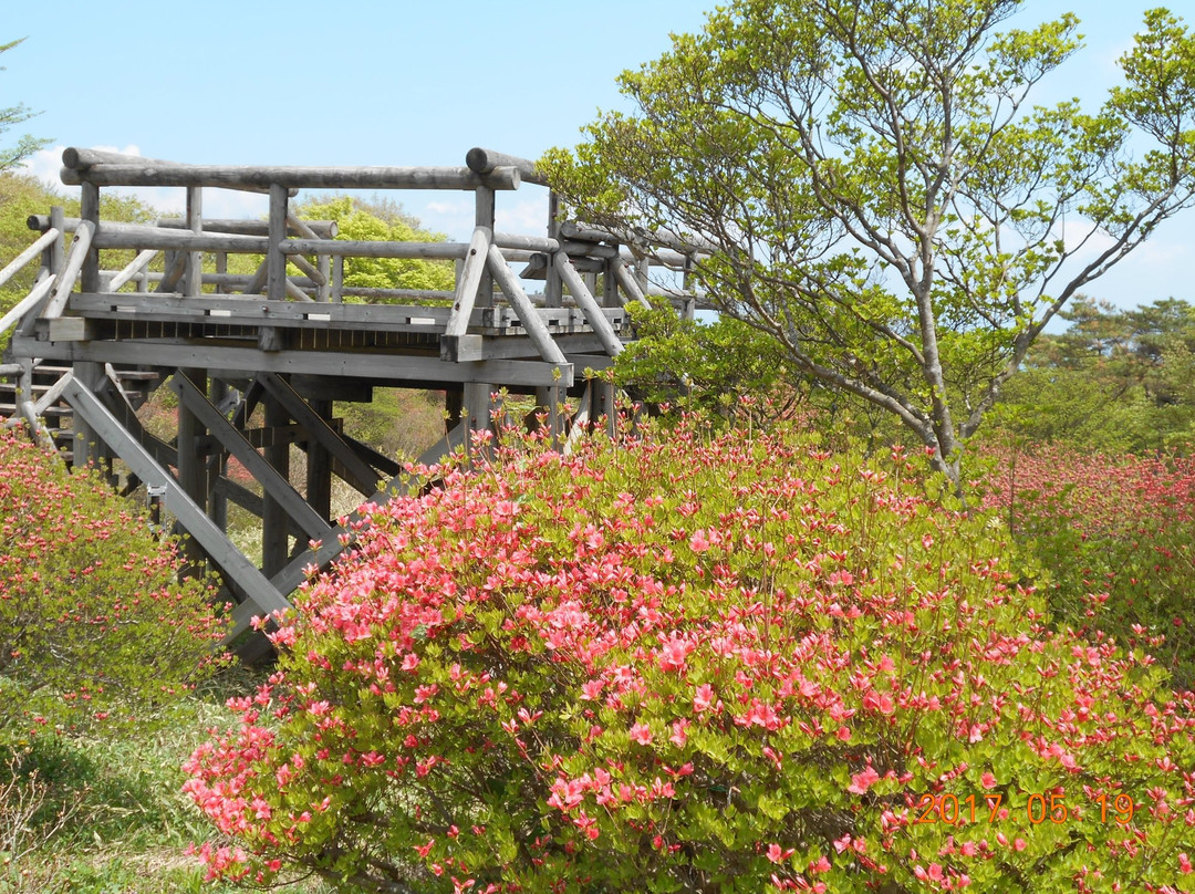 Yahata Park-那须町必去景点