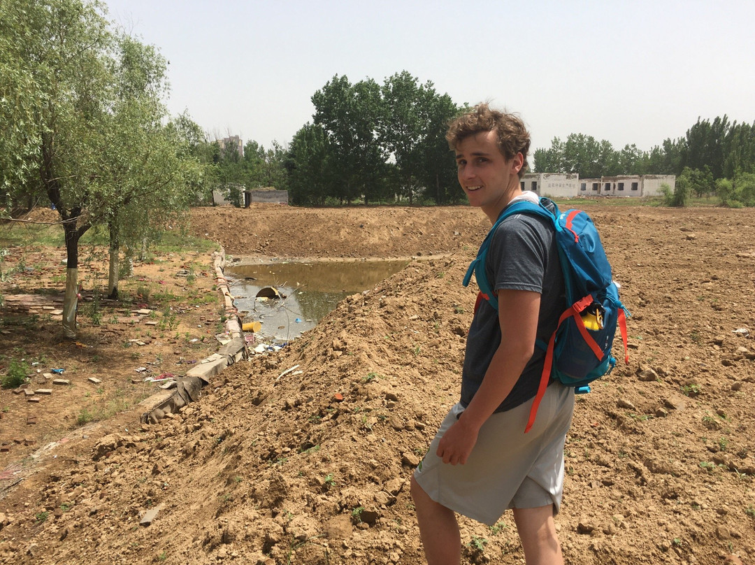 金鹭鸵鸟园-郑州市必去景点