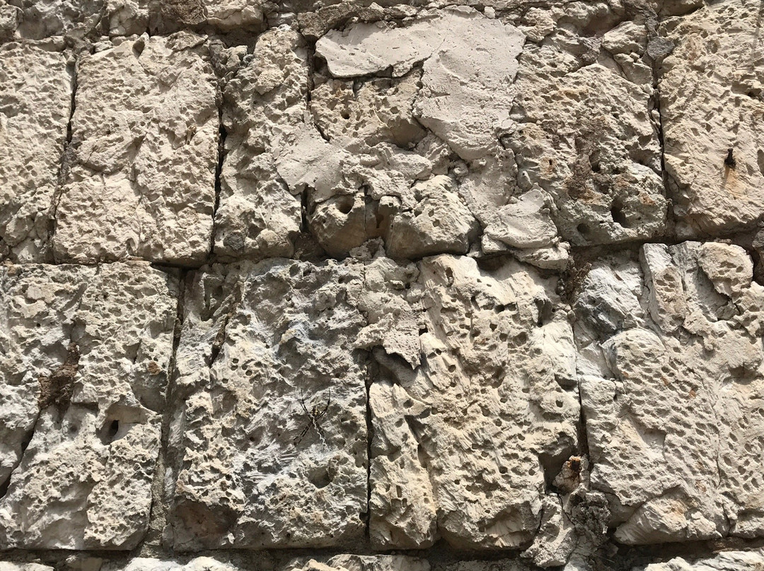 Sto. Tomas de Villanueva Church-宿雾必去景点