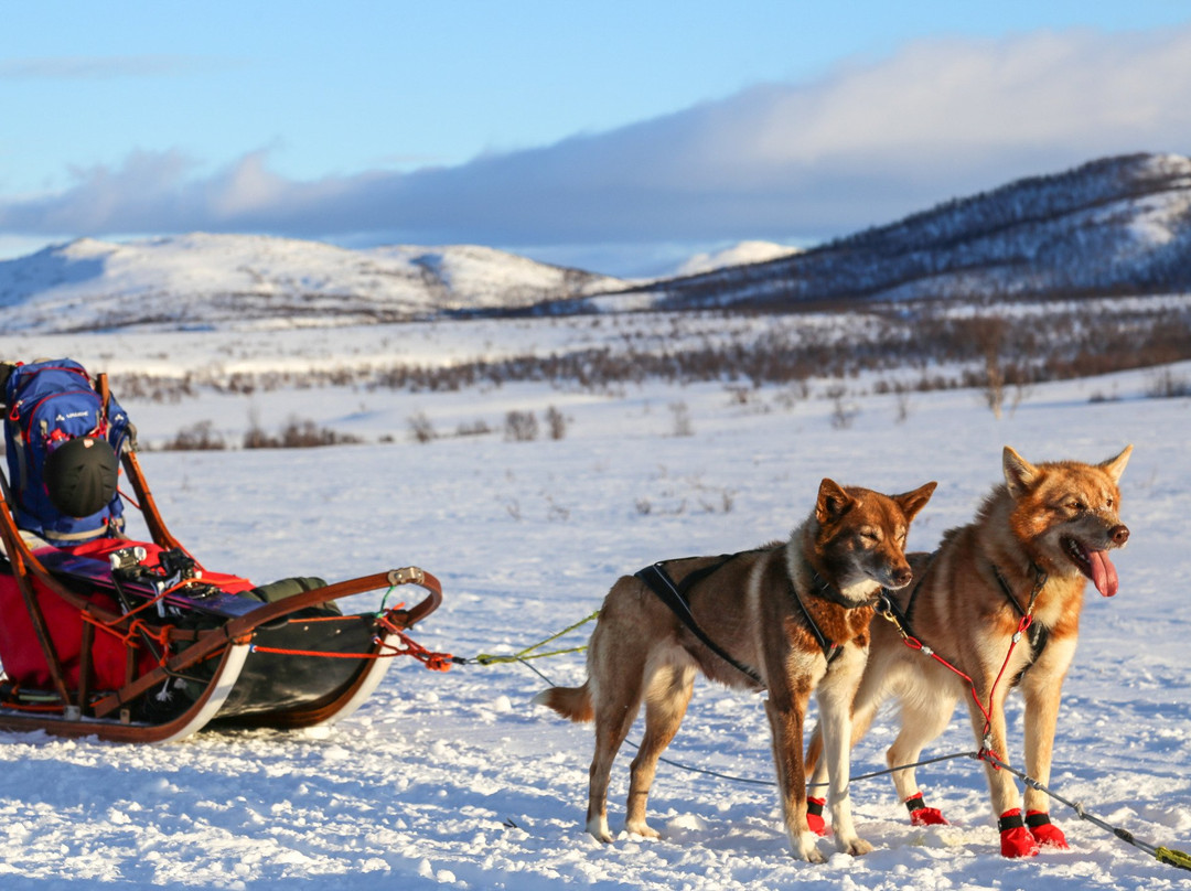 Husky Ranch Lapland景点图片