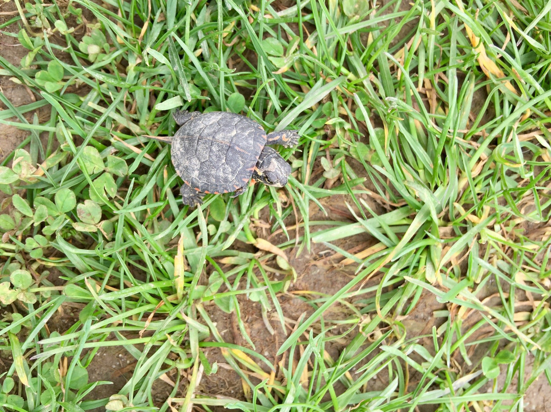 Lilly Nature Center-西拉斐特必去景点