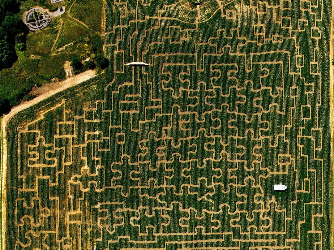 Great Vermont Corn Maze景点图片
