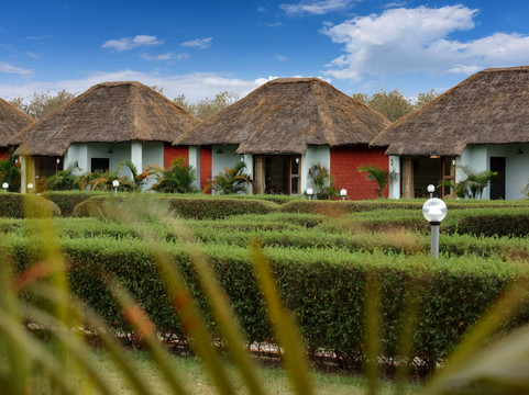 Corbett Next Forest Resort