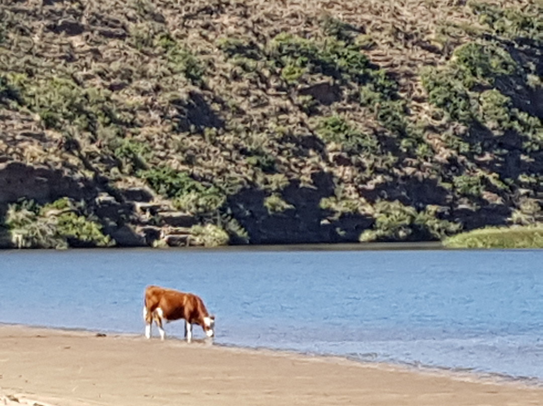 Houseboat Hire-Malagas必去景点