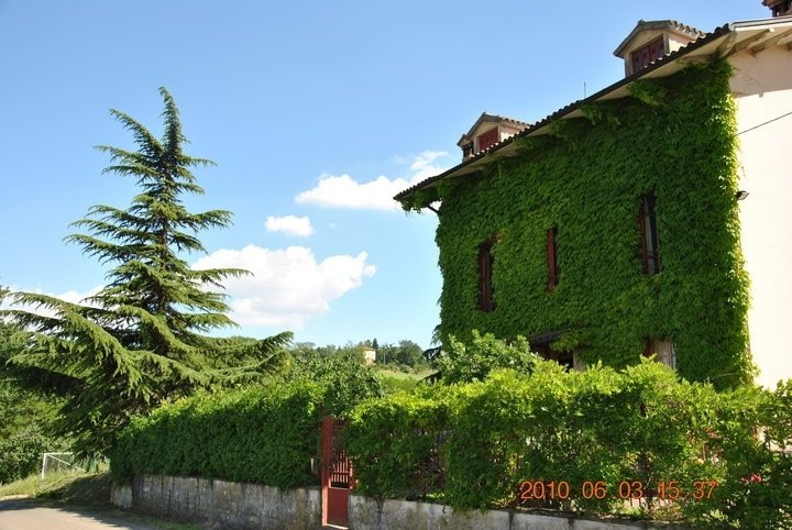 La Vecchia Quercia