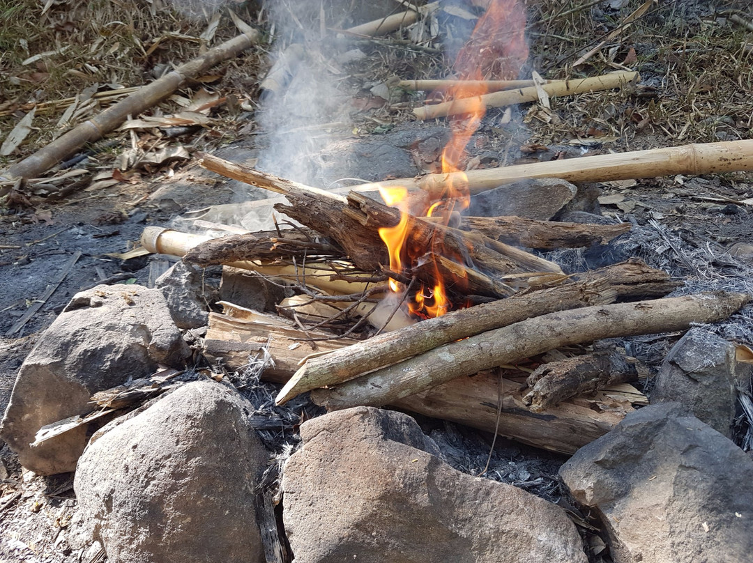 Jungle Environment Survival Training (JEST) Camp-苏比克湾自由贸易区必去景点