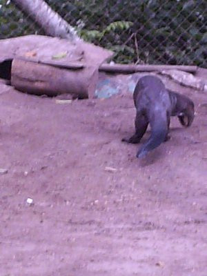 Parque Zoologico Loefling景点图片