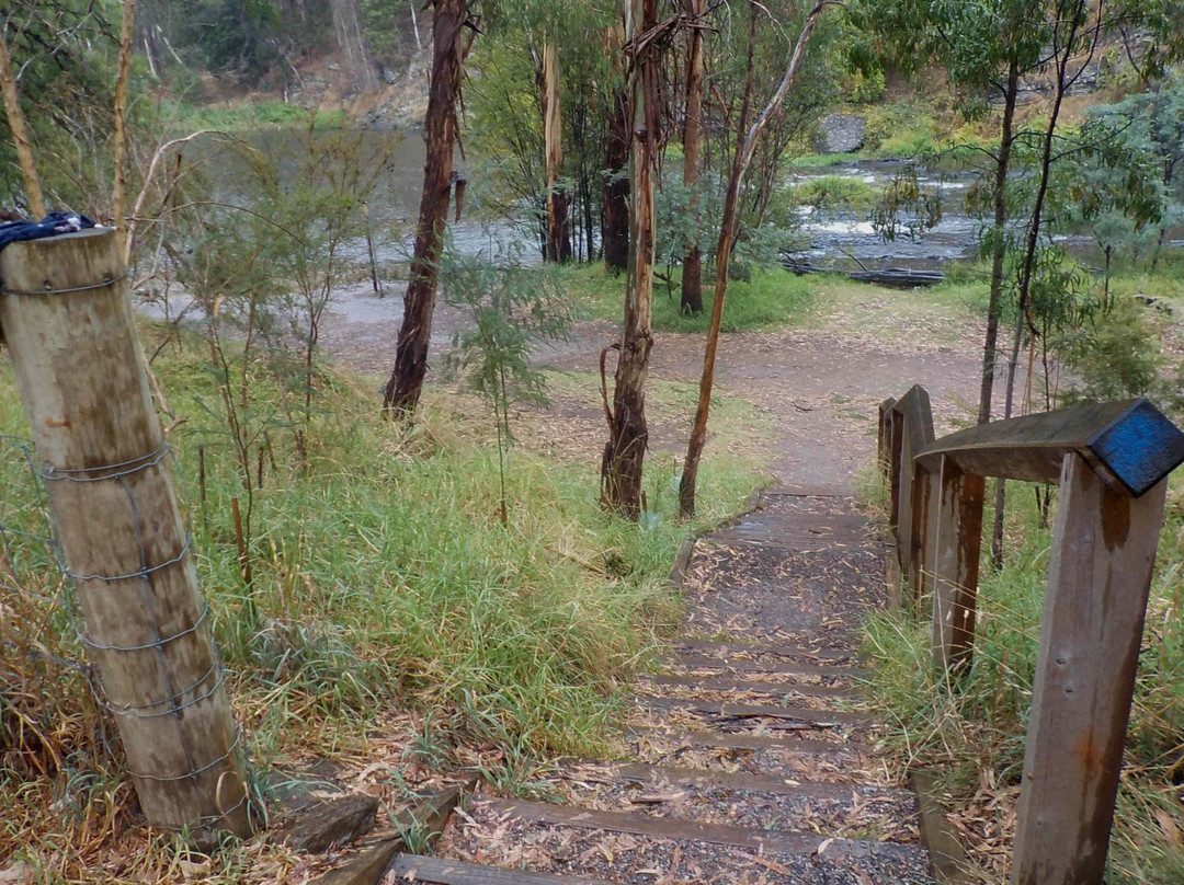 Warrandyte River Reserve景点图片