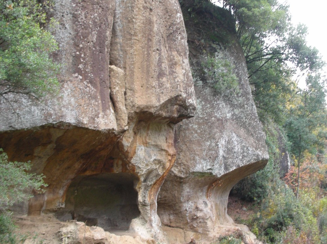 Cella di Santa Rosa景点图片