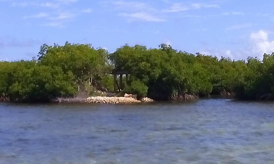 Scoothtooth Eco-Tours and Rentals-Anegada必去景点