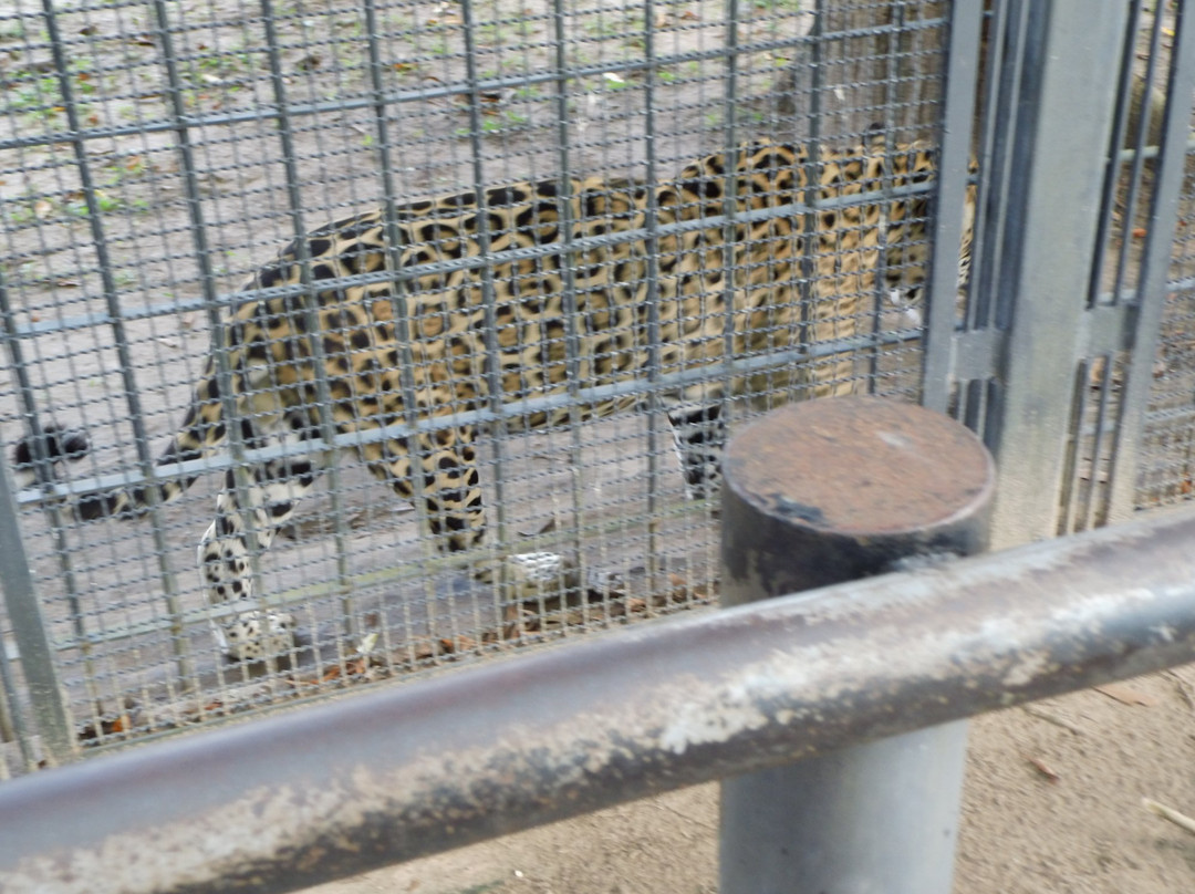 Parque Zoologico La Guaricha景点图片
