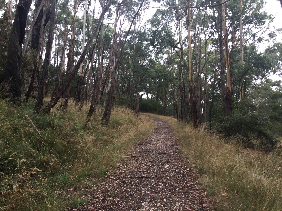 Stanley Park-马其顿山必去景点