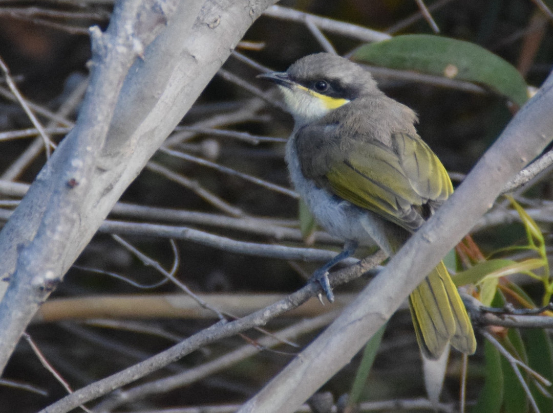 Tourist Drive 56-维克多港必去景点