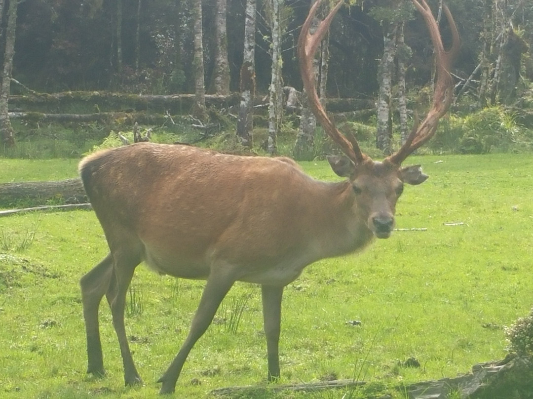 Outwest Tours-韦斯特波特必去景点