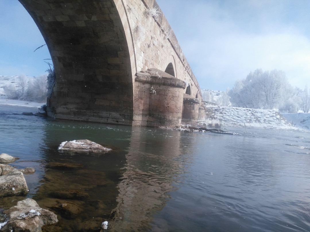 Bogaz Koprusu-Sivas必去景点