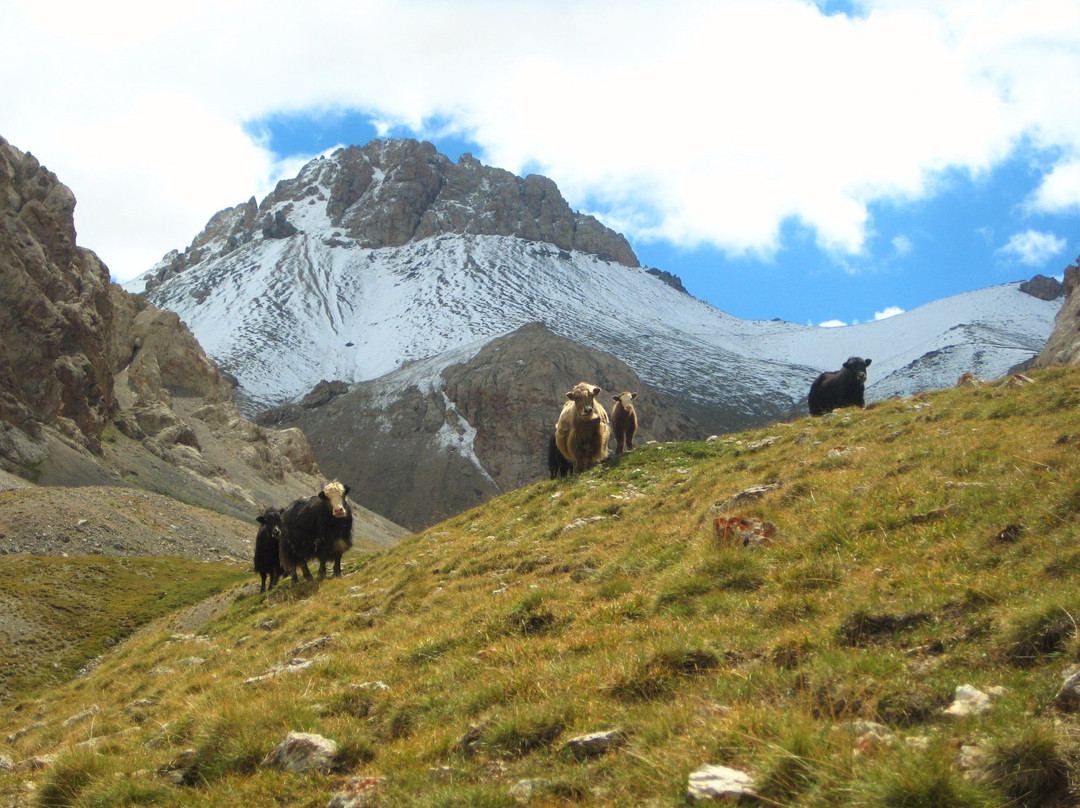 Chatyr-Kul Lake-At-Bashi必去景点