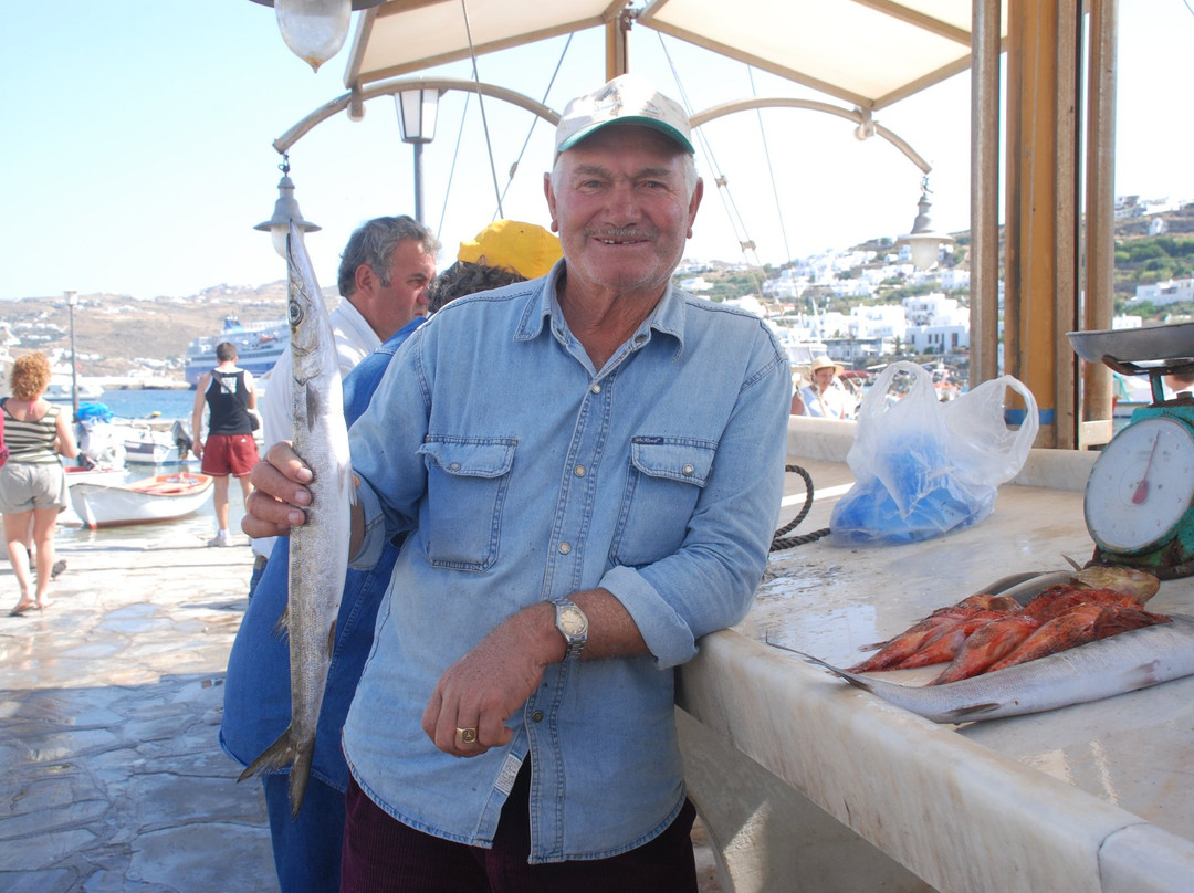 Kyklomar Tours-米克诺斯镇必去景点