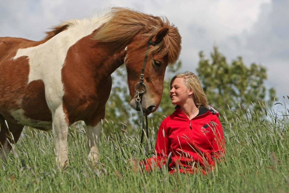 Tophorses-莫斯费德斯拜尔必去景点