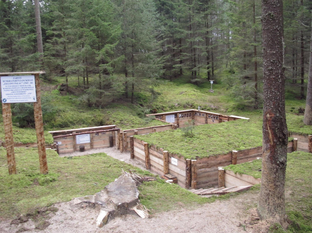 Partisan Bunker "Zielony Pałac"-Mecikal必去景点