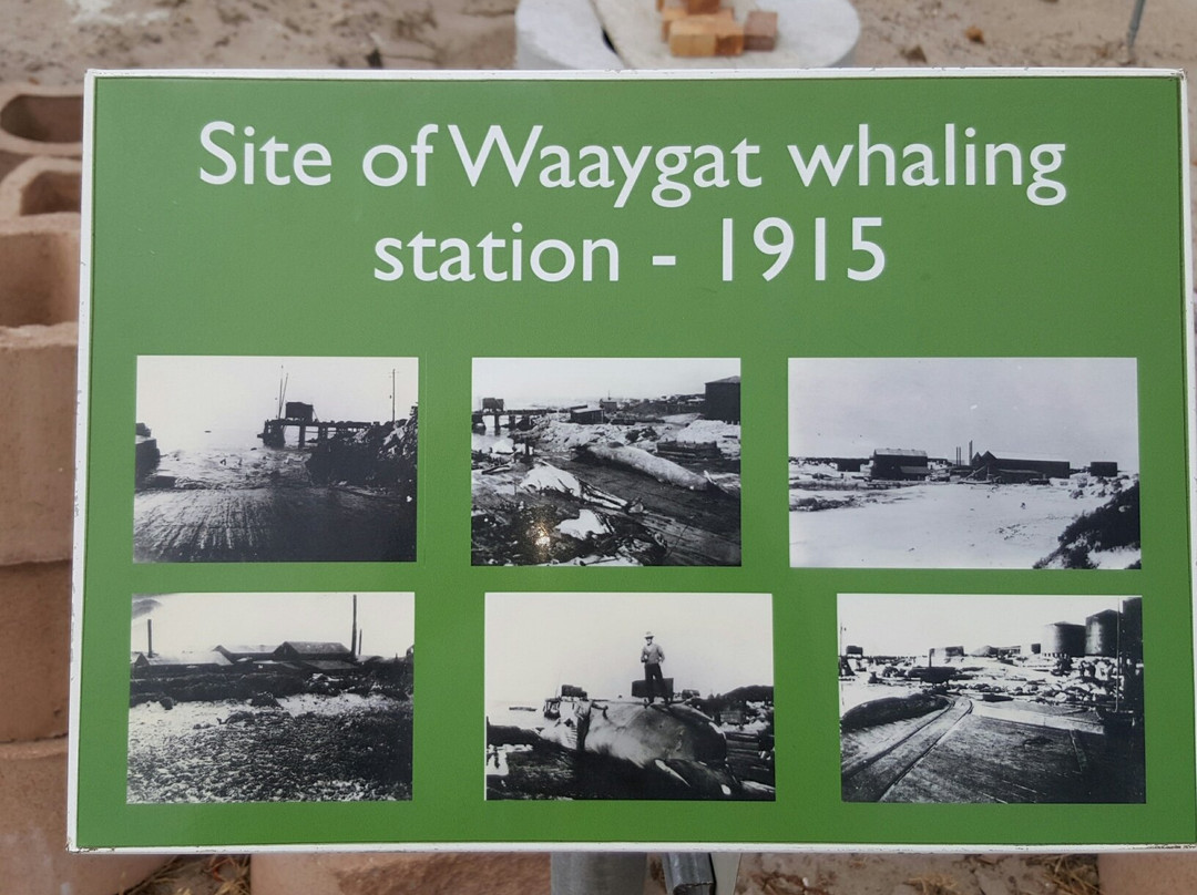 Old Whaling Station-Betty's Bay必去景点
