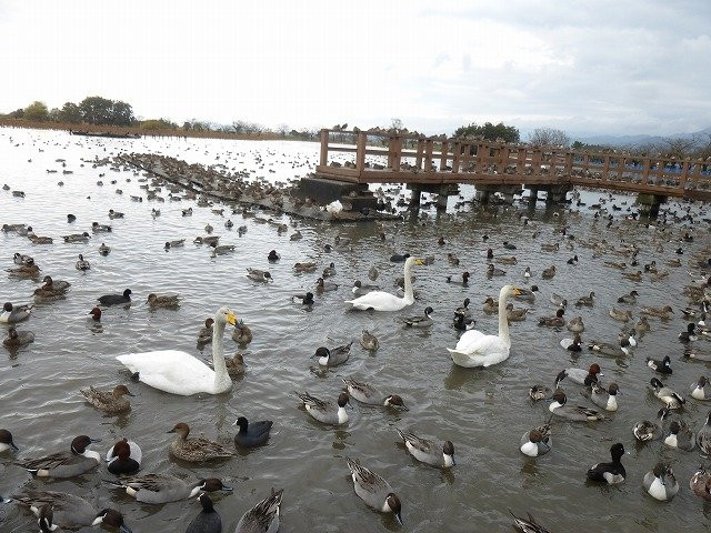Hyoko Hakucho Kaikan-阿贺野市必去景点