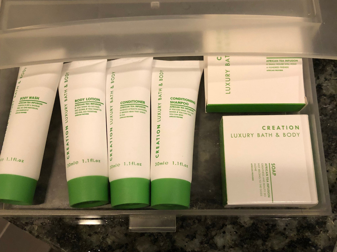 Holiday Inn Johannesburg Airport by IHG主图