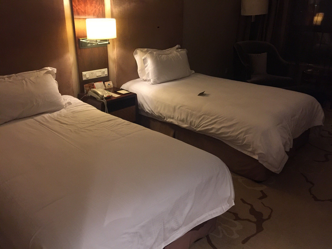 伯豪华府大酒店主图