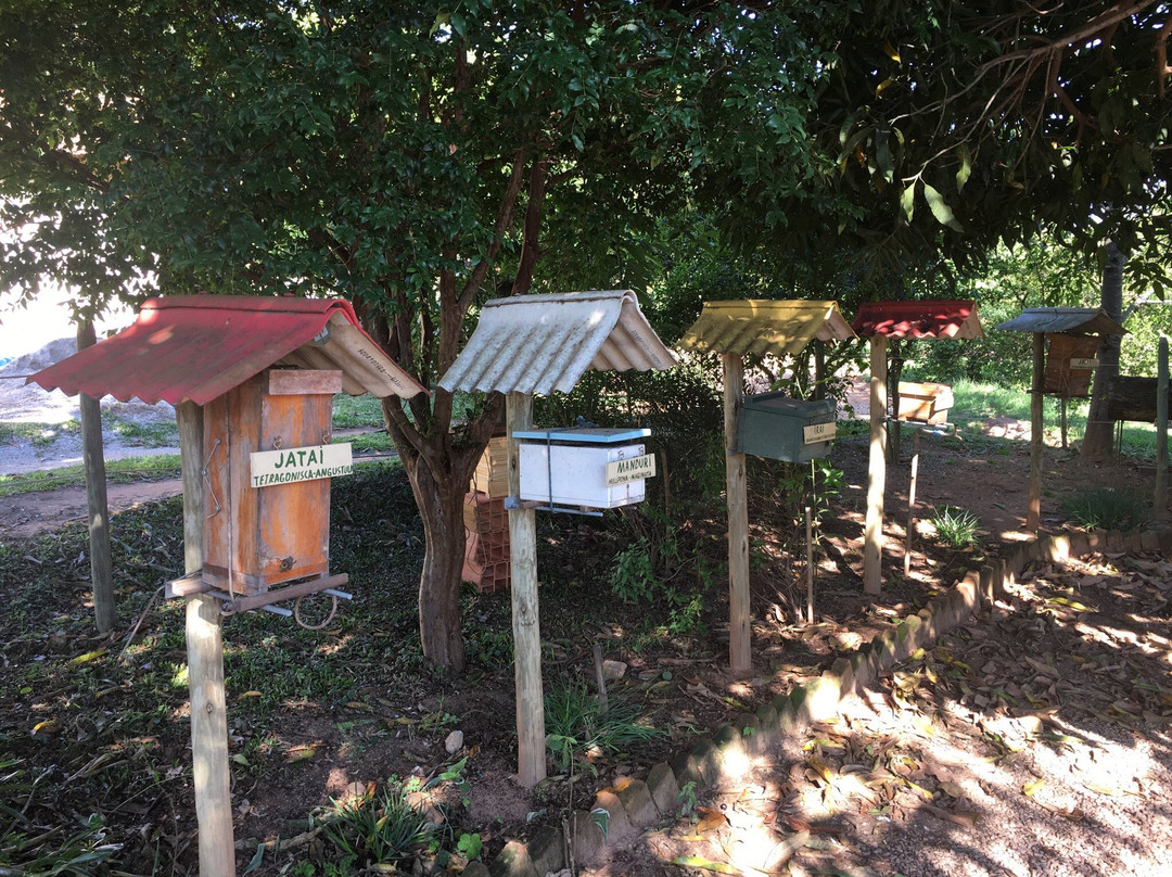 伊图佩瓦旅游景点-Apiario Nona Emilia