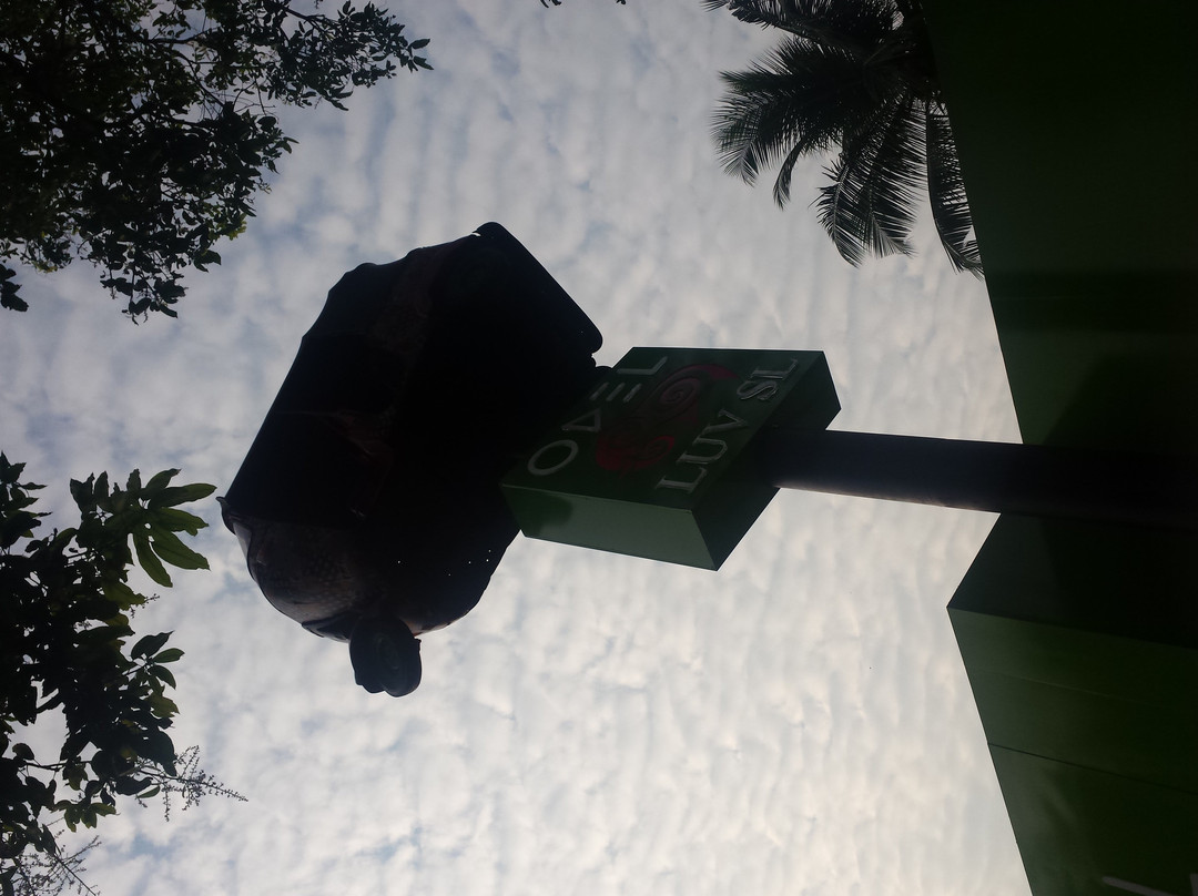 Luv SL-品纳维拉必去景点