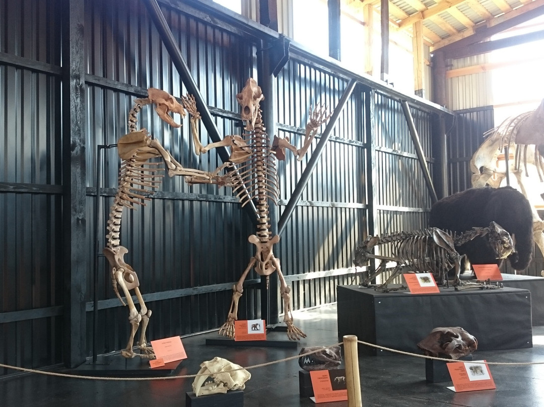 Museum of Natural History Paleopark-Elekmonar必去景点