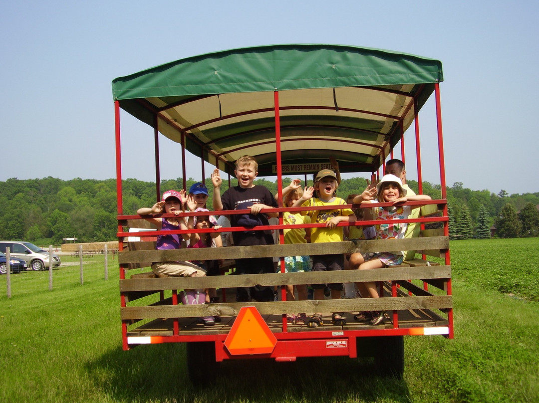 Stonehaven Farm Market-Campbellville必去景点