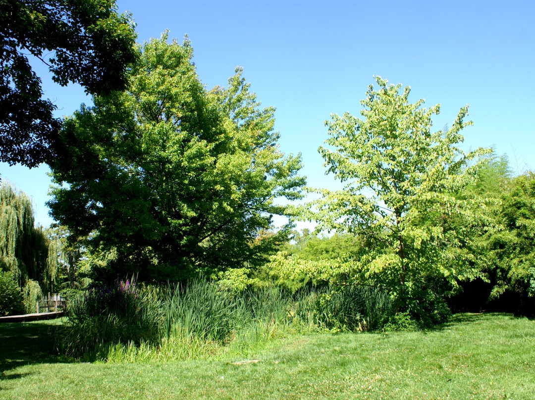 Arboretum Du Bois De Vincennes景点图片
