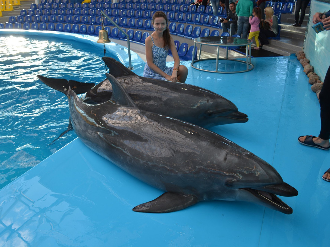 Minsk Dolphinarium Nemo-明斯克必去景点