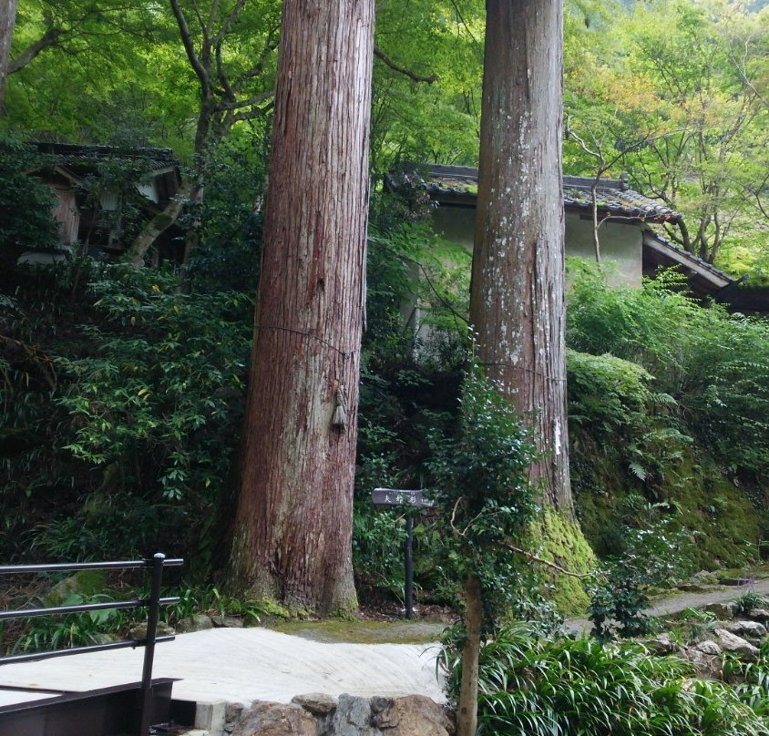 Ganryu-ji Temple-丹波市必去景点